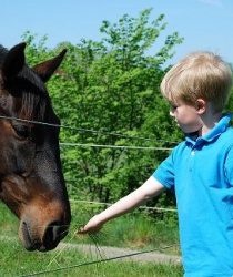 Agroturistika dotace