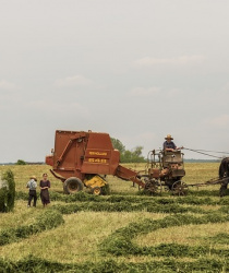 Základní principy ekologického zemědělství