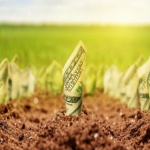 Ceny zemědělské půdy